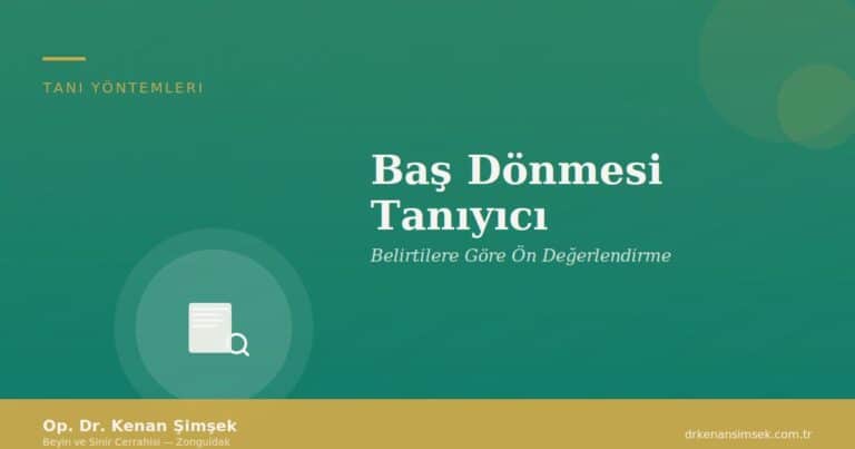 Baş Dönmesi Tanıyıcı: Belirtilere Göre Ön Değerlendirme