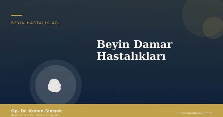 Beyin Damar Hastalıkları
