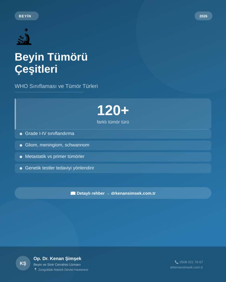 Beyin Tümörü Çeşitleri: WHO Sınıflaması ve Tümör Türleri (2026)