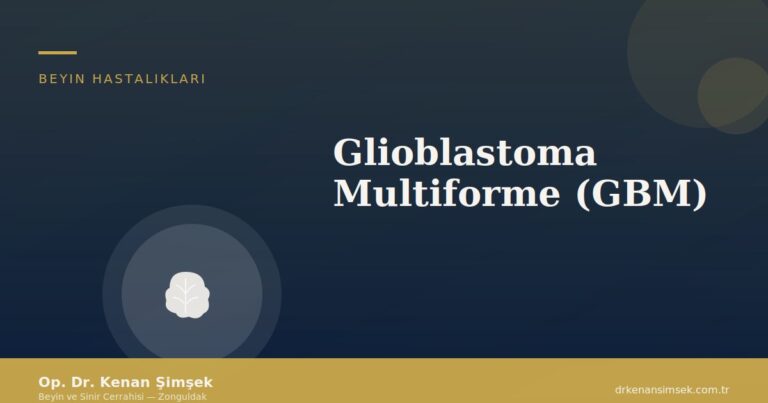 Glioblastoma Multiforme (GBM)