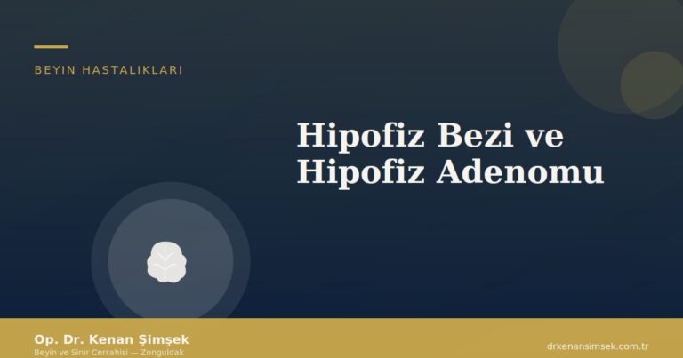 Hipofiz Bezi ve Hipofiz Adenomu
