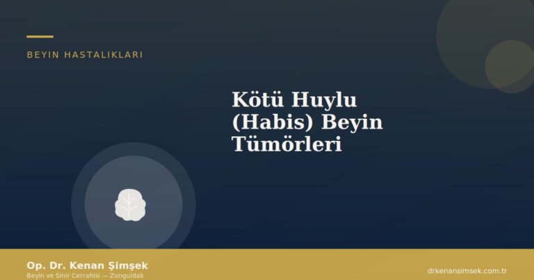 Kötü Huylu (Habis) Beyin Tümörleri