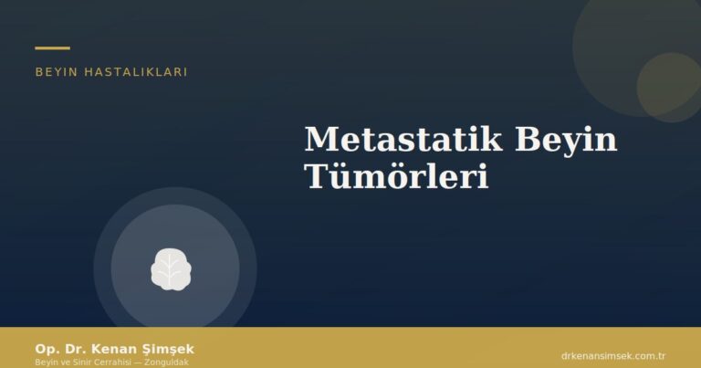 Metastatik Beyin Tümörleri
