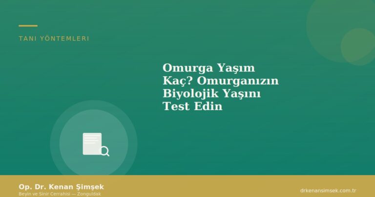 Omurga Yaşım Kaç? Omurganızın Biyolojik Yaşını Test Edin