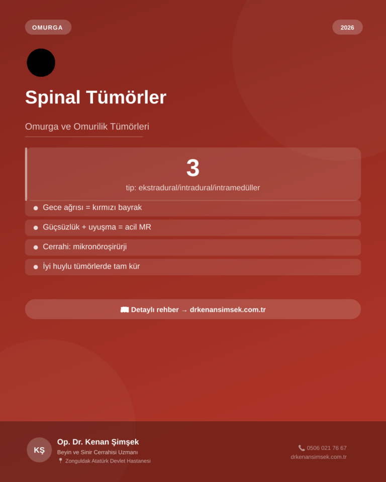 Spinal Tümörler (Omurga ve Omurilik Tümörleri): Belirtileri, Tanısı ve Tedavisi (2026 Rehberi)
