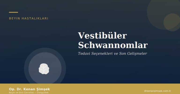 Vestibüler Schwannomlar: Tedavi Seçenekleri ve Son Gelişmeler